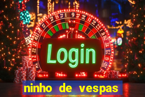 ninho de vespas significado espiritual